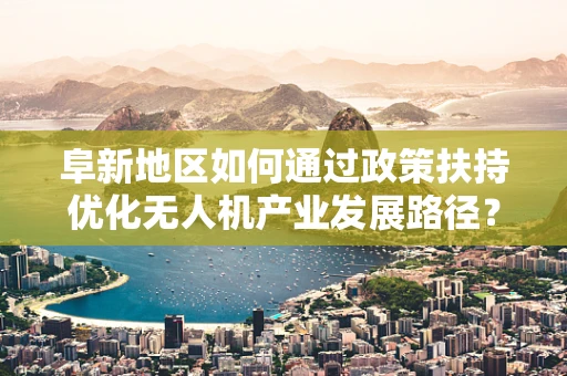 阜新地区如何通过政策扶持优化无人机产业发展路径？