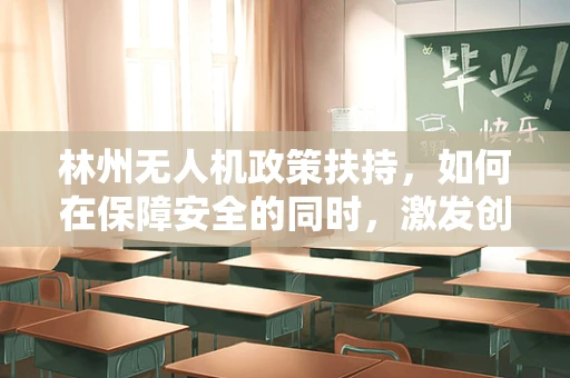 林州无人机政策扶持，如何在保障安全的同时，激发创新与应用的双翼？