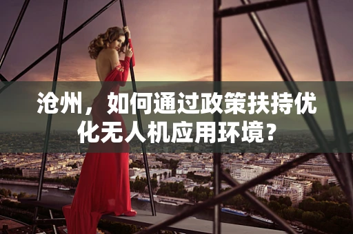 沧州，如何通过政策扶持优化无人机应用环境？
