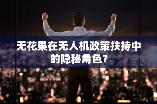 无花果在无人机政策扶持中的隐秘角色？