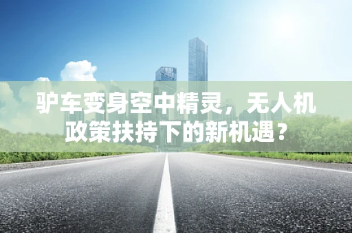 驴车变身空中精灵，无人机政策扶持下的新机遇？