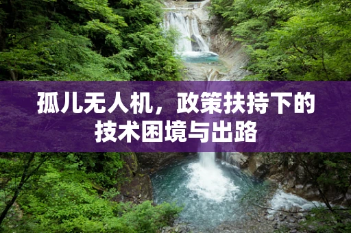 孤儿无人机，政策扶持下的技术困境与出路