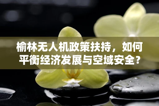 榆林无人机政策扶持，如何平衡经济发展与空域安全？