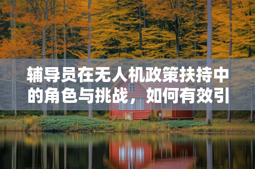辅导员在无人机政策扶持中的角色与挑战，如何有效引导创新与合规？