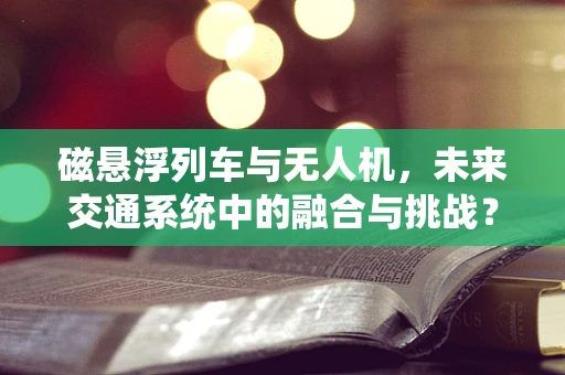 磁悬浮列车与无人机，未来交通系统中的融合与挑战？