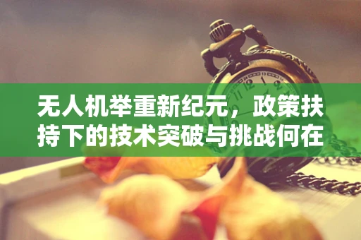 无人机举重新纪元，政策扶持下的技术突破与挑战何在？