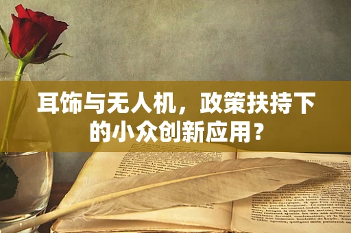 耳饰与无人机，政策扶持下的小众创新应用？