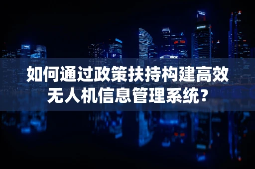 如何通过政策扶持构建高效无人机信息管理系统？