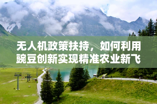 无人机政策扶持，如何利用豌豆创新实现精准农业新飞跃？