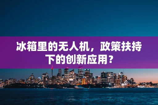 冰箱里的无人机，政策扶持下的创新应用？