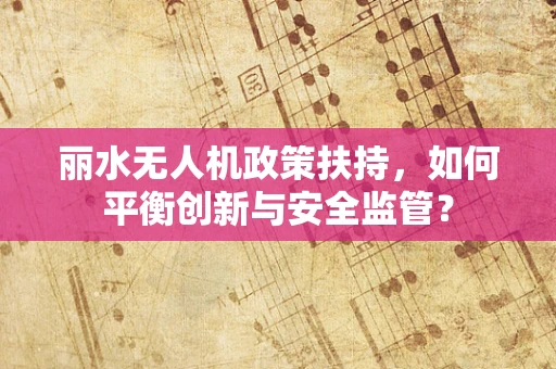 丽水无人机政策扶持，如何平衡创新与安全监管？