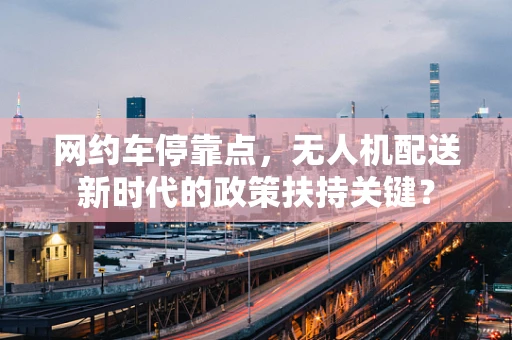 网约车停靠点，无人机配送新时代的政策扶持关键？