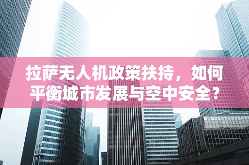 拉萨无人机政策扶持，如何平衡城市发展与空中安全？