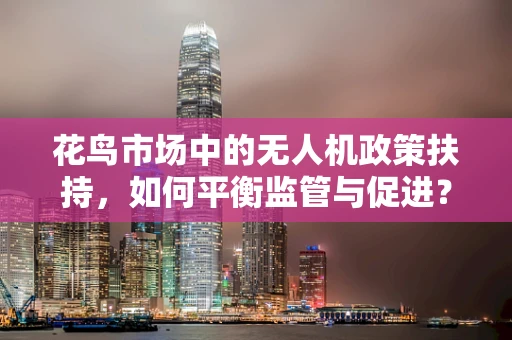 花鸟市场中的无人机政策扶持，如何平衡监管与促进？