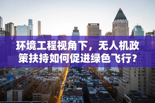 环境工程视角下，无人机政策扶持如何促进绿色飞行？