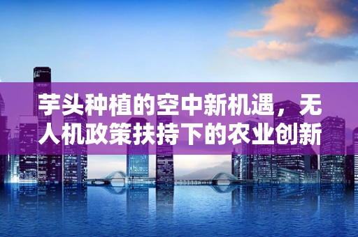 芋头种植的空中新机遇，无人机政策扶持下的农业创新路径？
