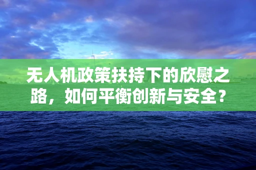 无人机政策扶持下的欣慰之路，如何平衡创新与安全？