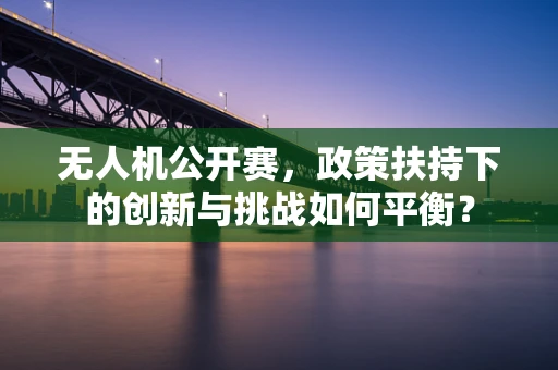 无人机公开赛，政策扶持下的创新与挑战如何平衡？