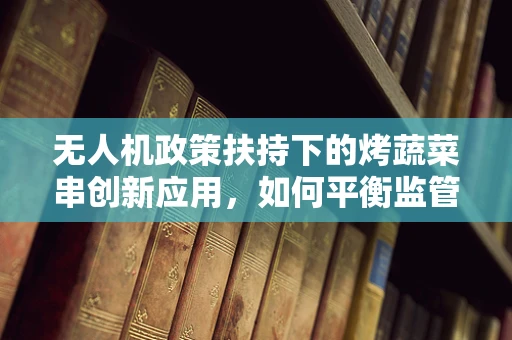无人机政策扶持下的烤蔬菜串创新应用，如何平衡监管与创意？