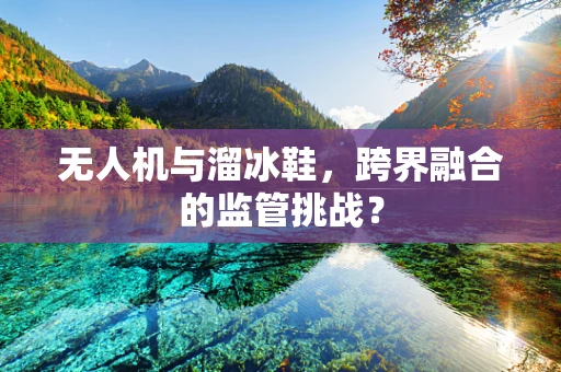 无人机与溜冰鞋，跨界融合的监管挑战？