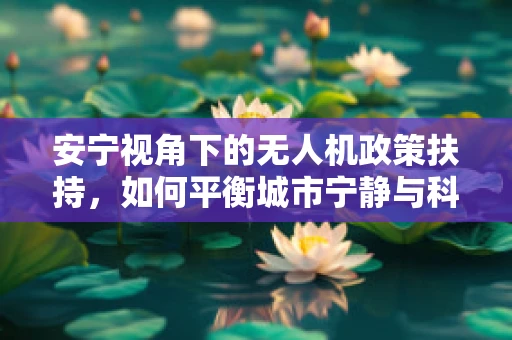 安宁视角下的无人机政策扶持，如何平衡城市宁静与科技创新？