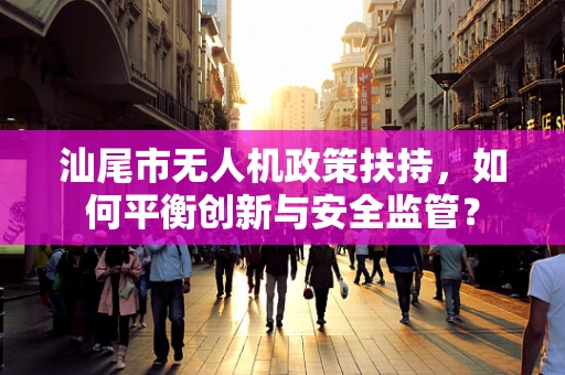 汕尾市无人机政策扶持，如何平衡创新与安全监管？
