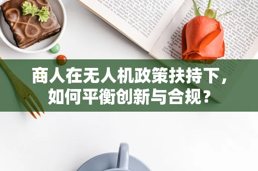 商人在无人机政策扶持下，如何平衡创新与合规？