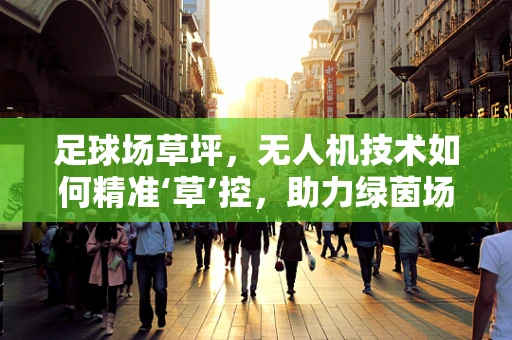 足球场草坪，无人机技术如何精准‘草’控，助力绿茵场升级？