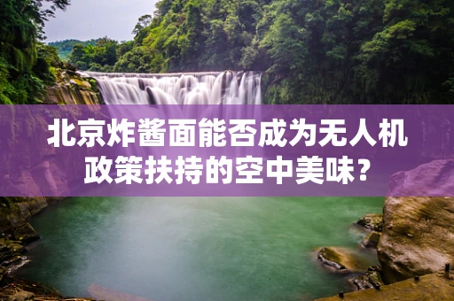 北京炸酱面能否成为无人机政策扶持的空中美味？