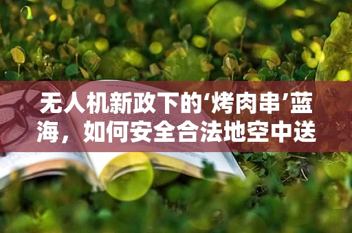 无人机新政下的‘烤肉串’蓝海，如何安全合法地空中送餐？
