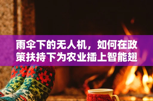 雨伞下的无人机，如何在政策扶持下为农业插上智能翅膀？