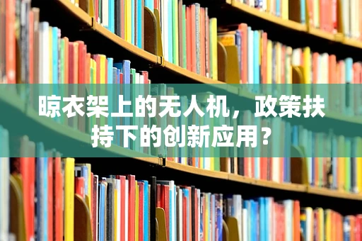 晾衣架上的无人机，政策扶持下的创新应用？