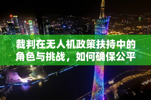 裁判在无人机政策扶持中的角色与挑战，如何确保公平与安全？