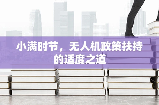 小满时节，无人机政策扶持的适度之道