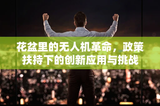 花盆里的无人机革命，政策扶持下的创新应用与挑战