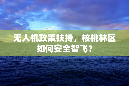无人机政策扶持，核桃林区如何安全智飞？