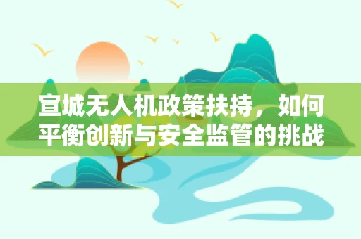 宣城无人机政策扶持，如何平衡创新与安全监管的挑战？