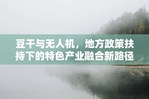 豆干与无人机，地方政策扶持下的特色产业融合新路径？
