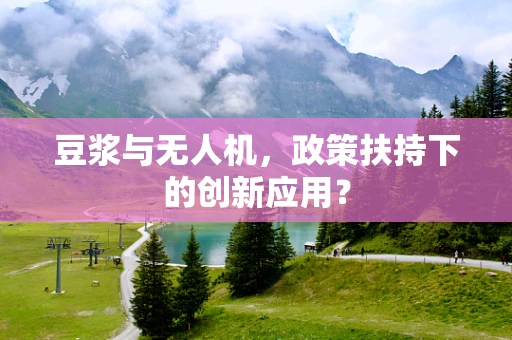 豆浆与无人机，政策扶持下的创新应用？