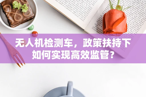 无人机检测车，政策扶持下如何实现高效监管？