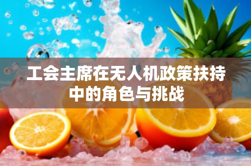 工会主席在无人机政策扶持中的角色与挑战