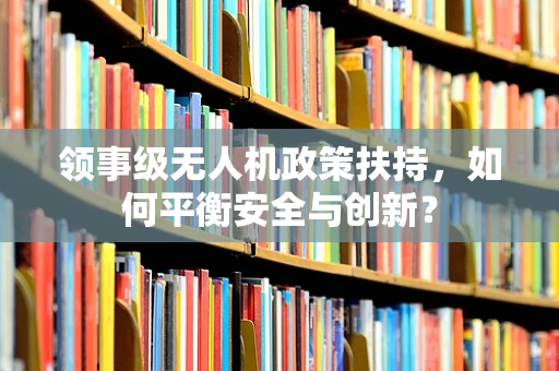 领事级无人机政策扶持，如何平衡安全与创新？