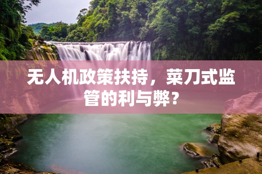 无人机政策扶持，菜刀式监管的利与弊？
