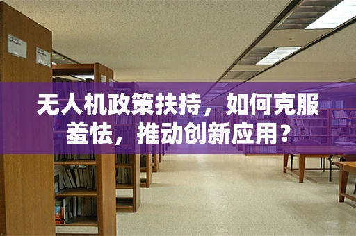 无人机政策扶持，如何克服羞怯，推动创新应用？