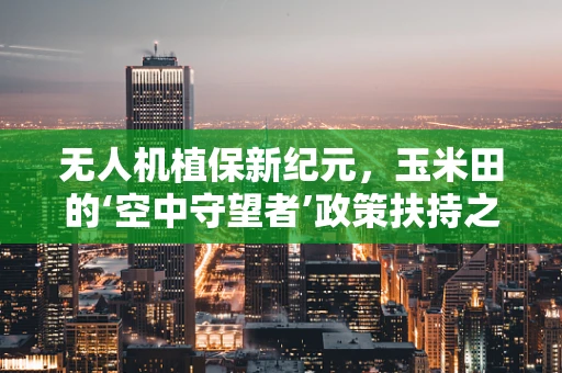 无人机植保新纪元，玉米田的‘空中守望者’政策扶持之惑