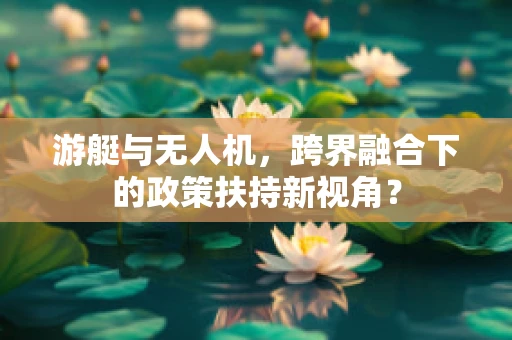 游艇与无人机，跨界融合下的政策扶持新视角？