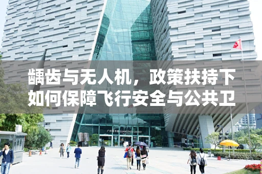 龋齿与无人机，政策扶持下如何保障飞行安全与公共卫生？