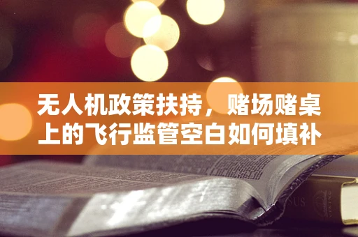 无人机政策扶持，赌场赌桌上的飞行监管空白如何填补？