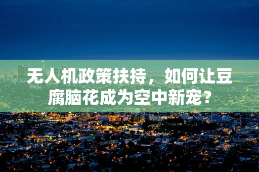 无人机政策扶持，如何让豆腐脑花成为空中新宠？