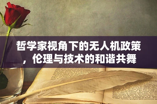 哲学家视角下的无人机政策，伦理与技术的和谐共舞